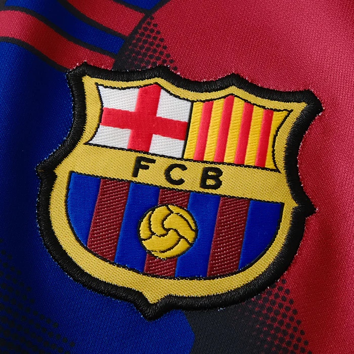 a close up of the crest of a soccer jersey